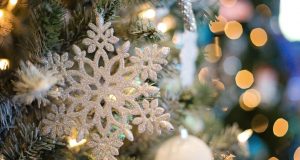 Albero di Natale vero