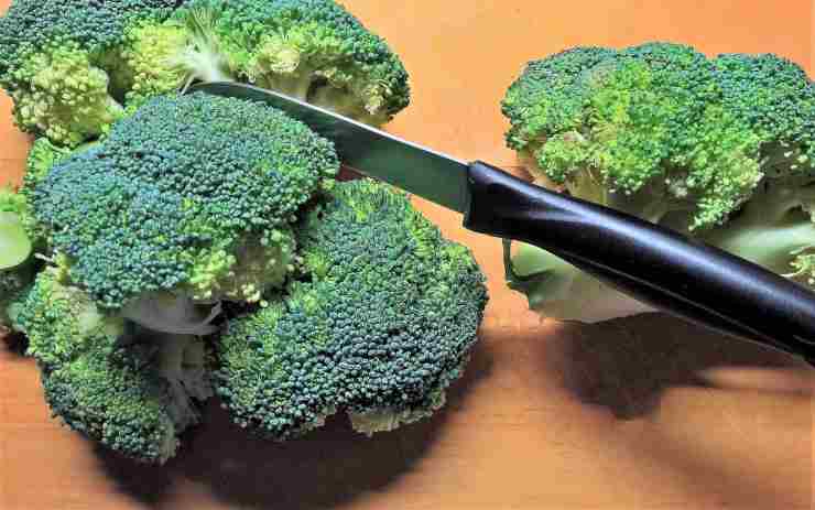Broccoli bambini