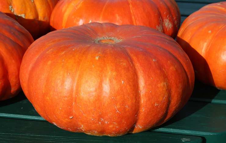 Zucca forno due ingredienti