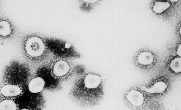 Coronavirus asintomatici