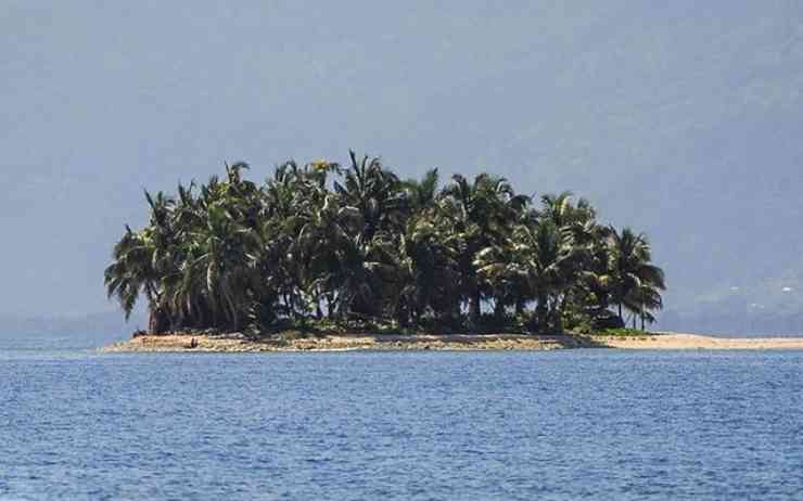 Isola dei famosi concorrenti