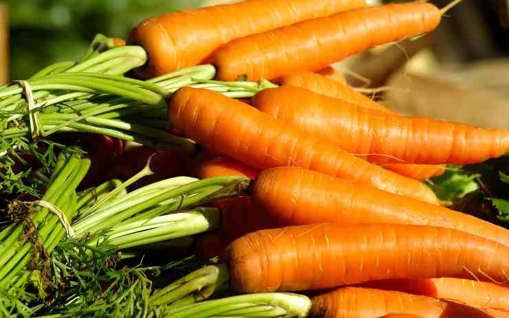 Frittelle di carote 