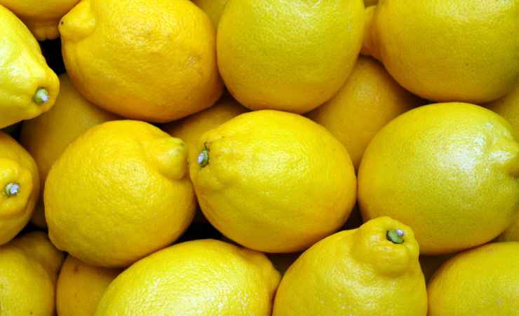 limone rughe