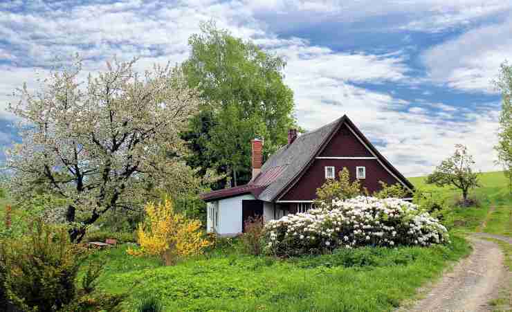 giardino lucertola via