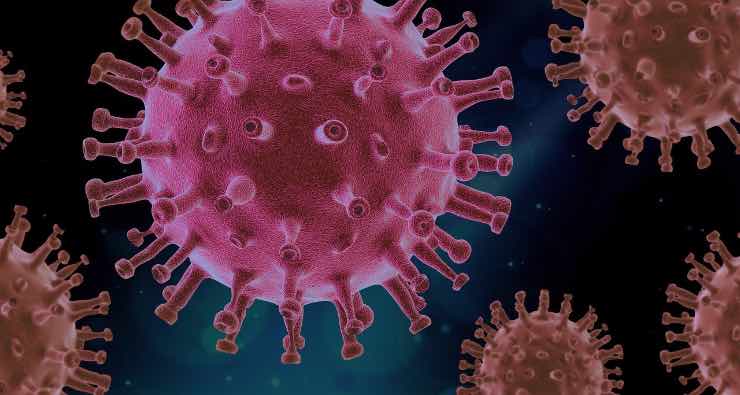 Coronavirus trovare positivi