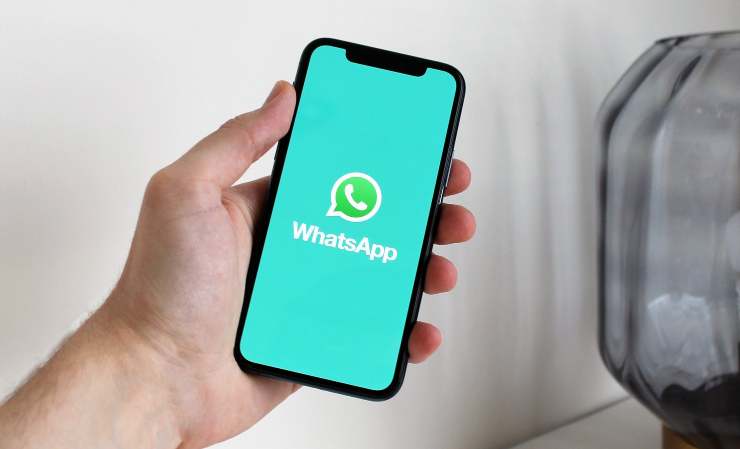 Whatsapp dettaglio messaggi