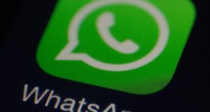 Whatsapp info