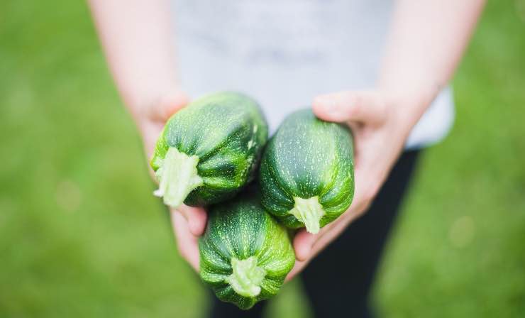 Zucchine ricetta innovativa