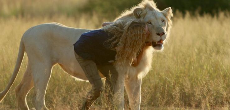 Mia e il leone bianco, storia vera