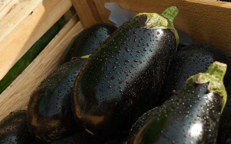 Melanzane al forno 