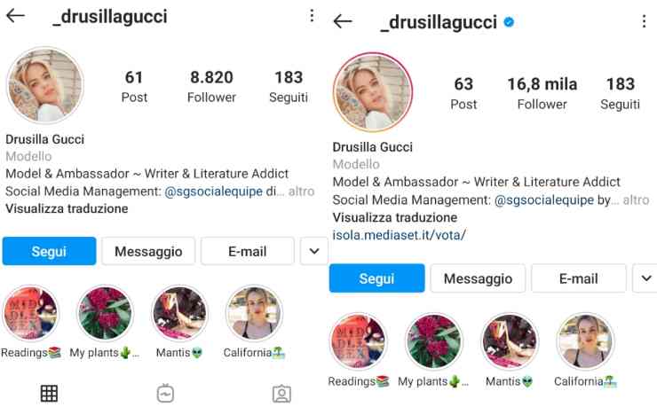Drusilla Gucci Instagram
