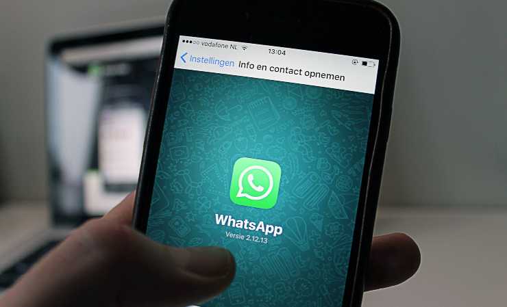 whatsapp novità messaggio