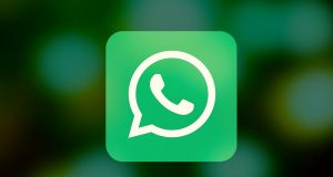 whatsapp novità