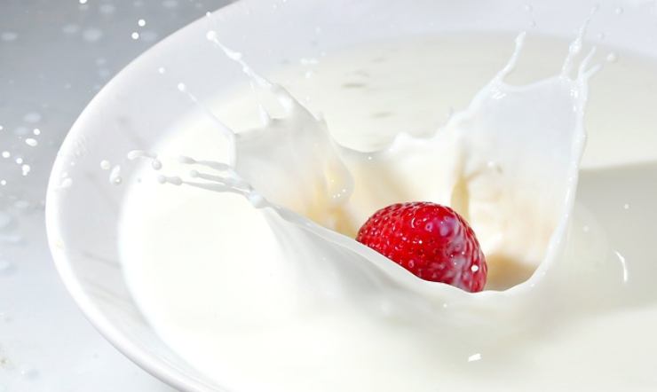 Yogurt