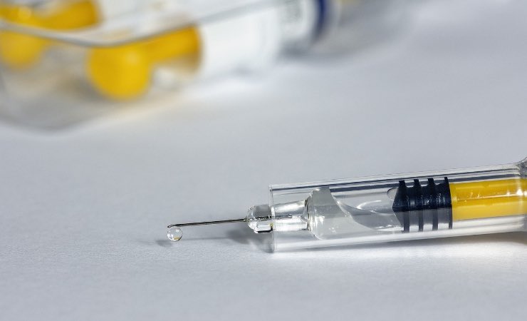 Coronavirus vaccini distrutti