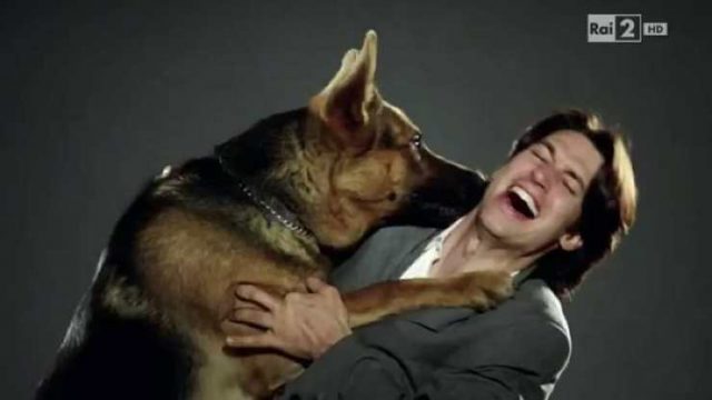 Il Commissario Rex Streaming Serie Tv Online