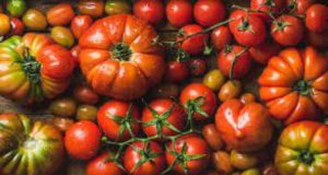 Pomodori-Nome-AltraNotizia