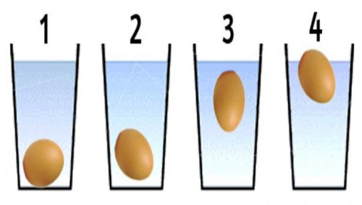 uova-scadute-test-acqua-Altranotizia