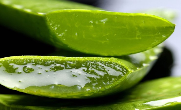 Come usare l'aloe vera sulle labbra