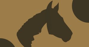 test cavallo persona