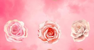 rimpianto cuore rosa