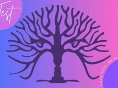 test cosa vedi immagine