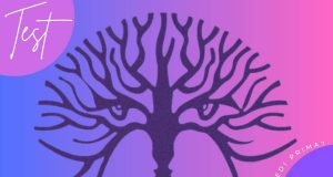 test cosa vedi immagine