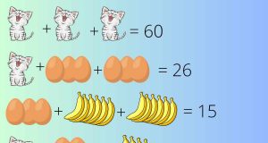 test genio enigma