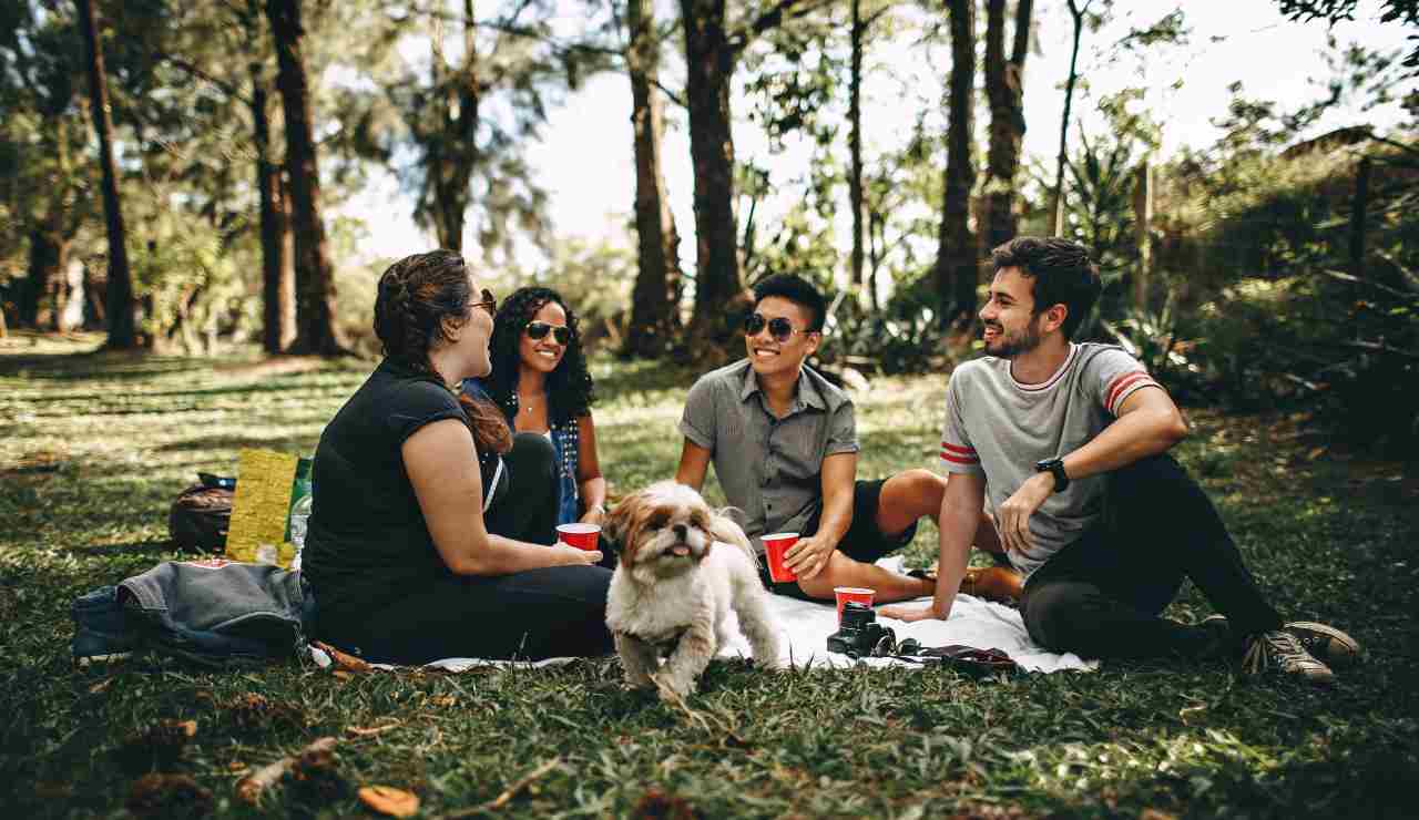 Picnic all'aperto - foto pexels - altranotizia.it
