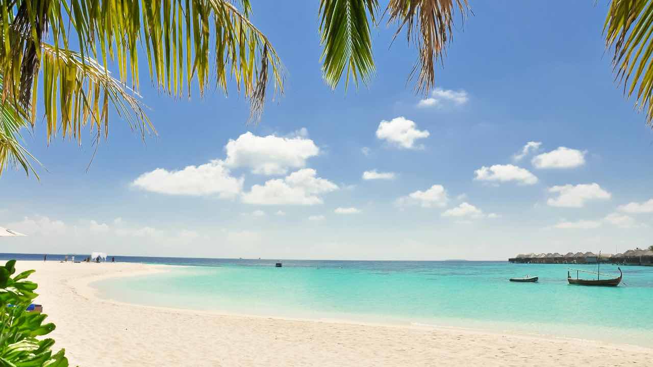 bonus vacanza - mare - isola - spiaggia - estate - pexels - altranotizia.it