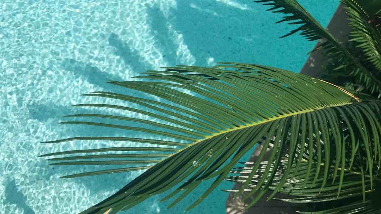 vacanze - pexels - altranotizia.it